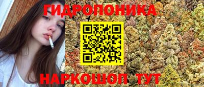 дживик Донецк