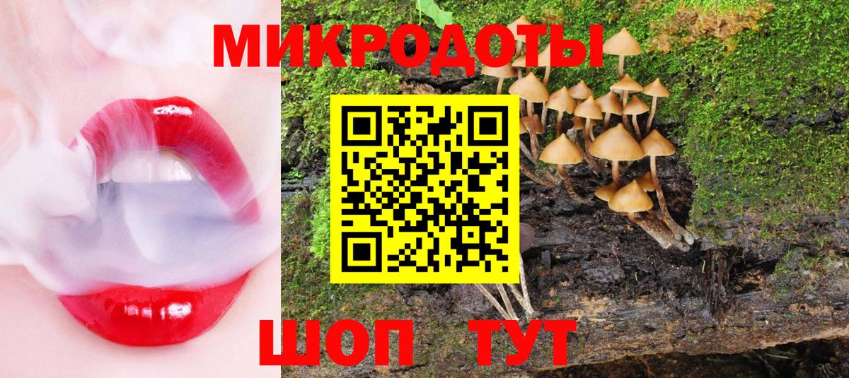 Лысьва  Псилоцибиновые грибы прущие грибы  Вход с VPN 